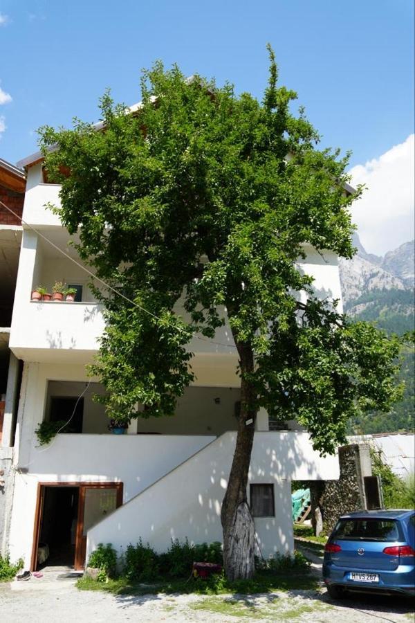 Guesthouse Skender Selimaj Valbone Bagian luar foto