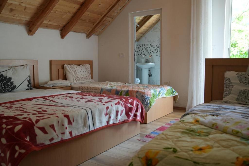 Guesthouse Skender Selimaj Valbone Bagian luar foto